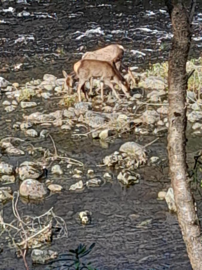 קינלוכלבן Riverside Pod, West Highland Way Holidays מראה חיצוני תמונה
